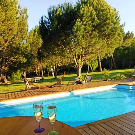 مبيت وإفطار Saint-Ciers-d'Abzac Les Pins Perdus المظهر الخارجي الصورة