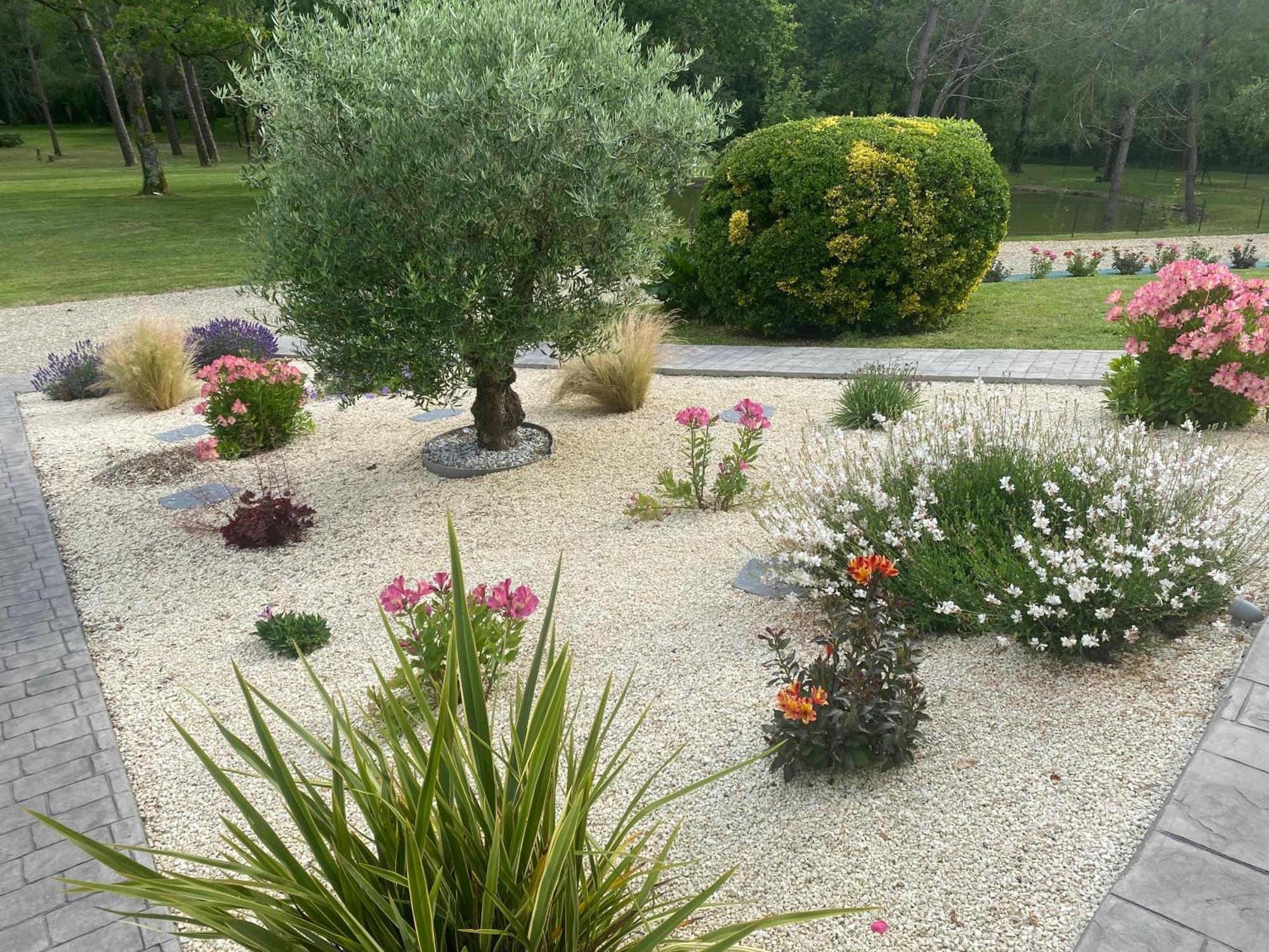 مبيت وإفطار Saint-Ciers-d'Abzac Les Pins Perdus المظهر الخارجي الصورة