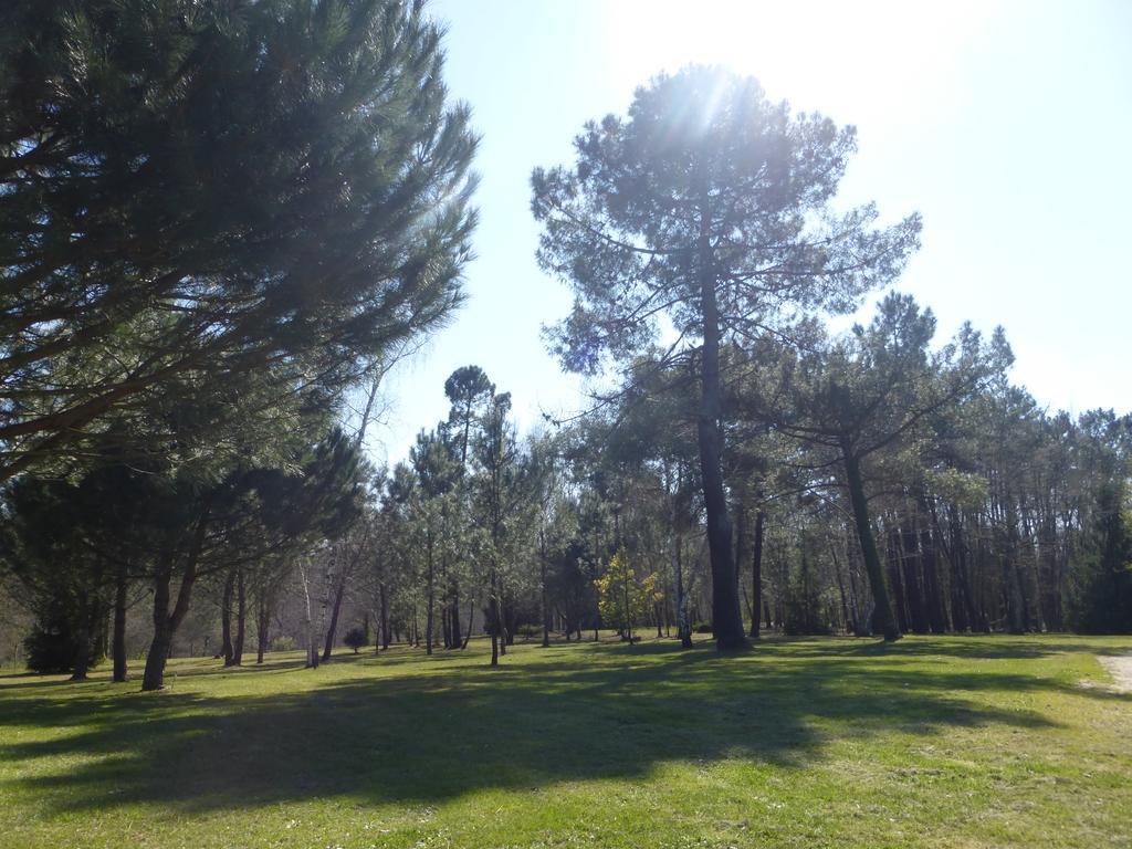 مبيت وإفطار Saint-Ciers-d'Abzac Les Pins Perdus المظهر الخارجي الصورة